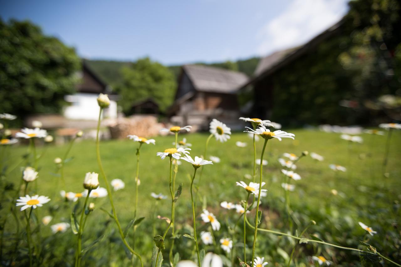 Apartmaji Katrnjek Bohinj Exterior photo